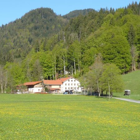 Gasthof Fallmuehle ฟรอนเทน ภายนอก รูปภาพ