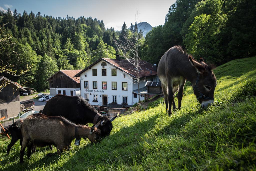 Gasthof Fallmuehle ฟรอนเทน ภายนอก รูปภาพ