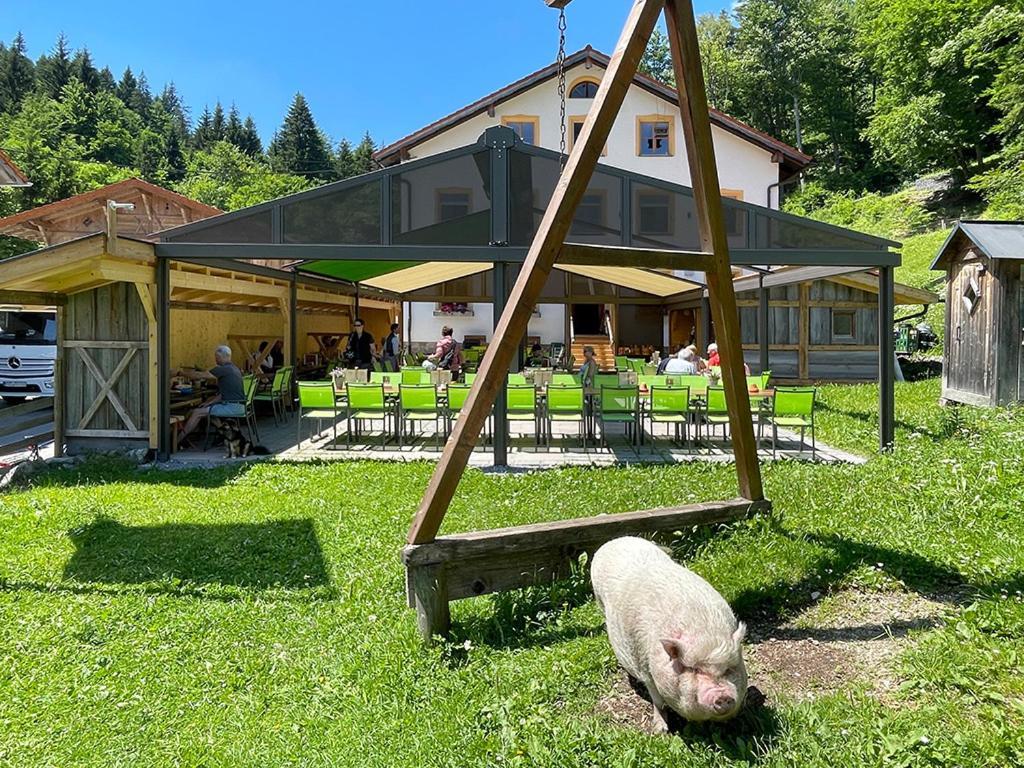Gasthof Fallmuehle ฟรอนเทน ภายนอก รูปภาพ