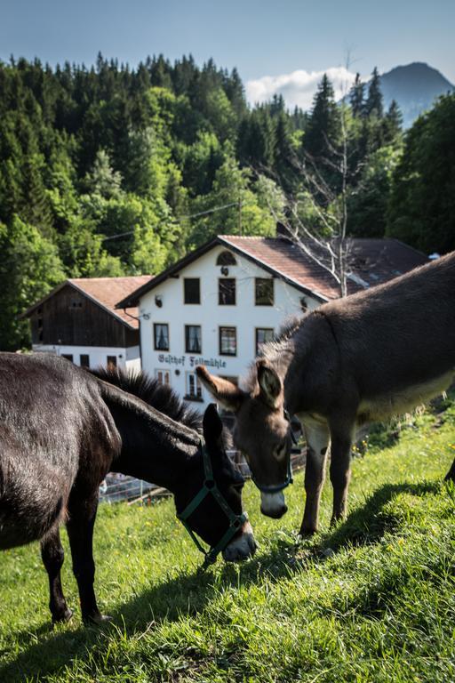 Gasthof Fallmuehle ฟรอนเทน ภายนอก รูปภาพ