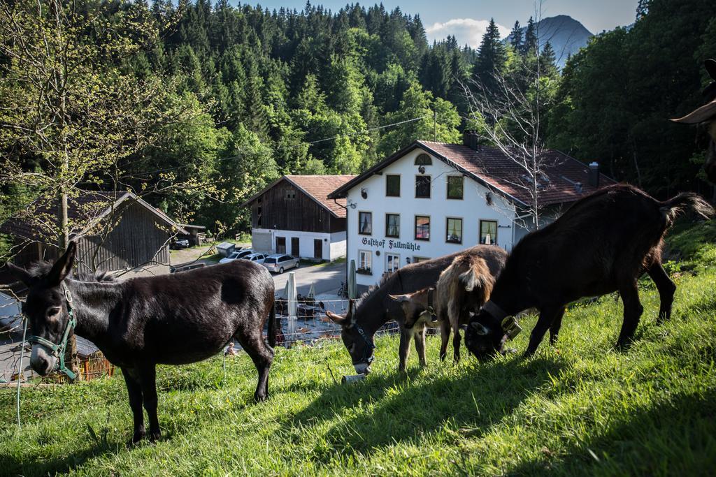 Gasthof Fallmuehle ฟรอนเทน ภายนอก รูปภาพ