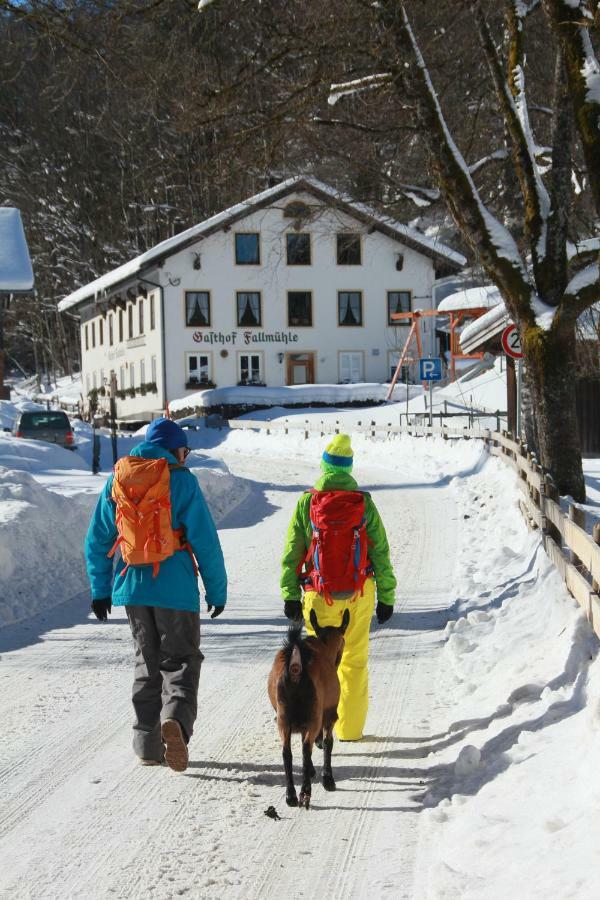 Gasthof Fallmuehle ฟรอนเทน ภายนอก รูปภาพ